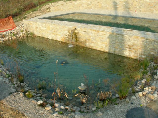 Zweitopf Naturpool